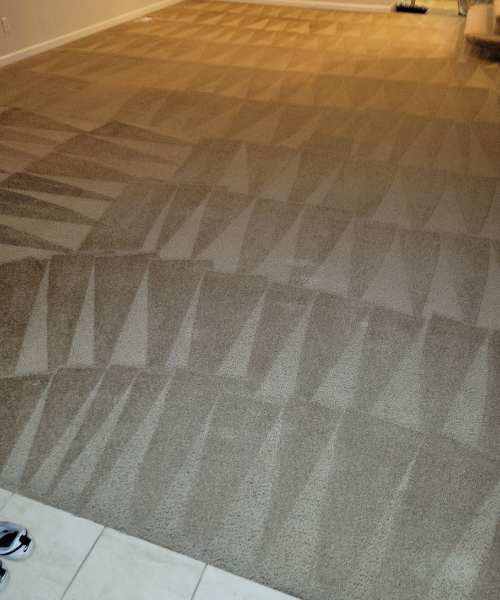 A room with a carpet that has been cleaned