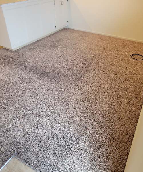 A room with a carpeted floor and a white cabinet