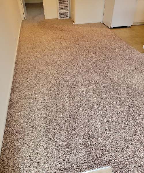 A carpeted room with a refrigerator and freezer